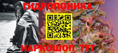 ешки Вязьма