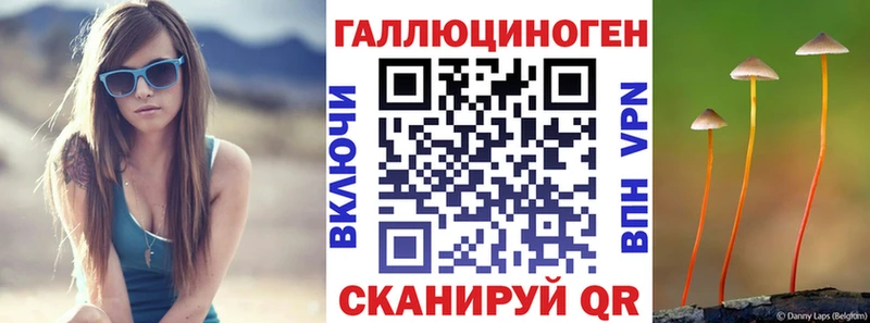 OMG   Владимир  Галлюциногенные грибы GOLDEN TEACHER 